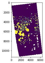 ../../../_images/Workshop-Mound-Segmentation_19_1.png